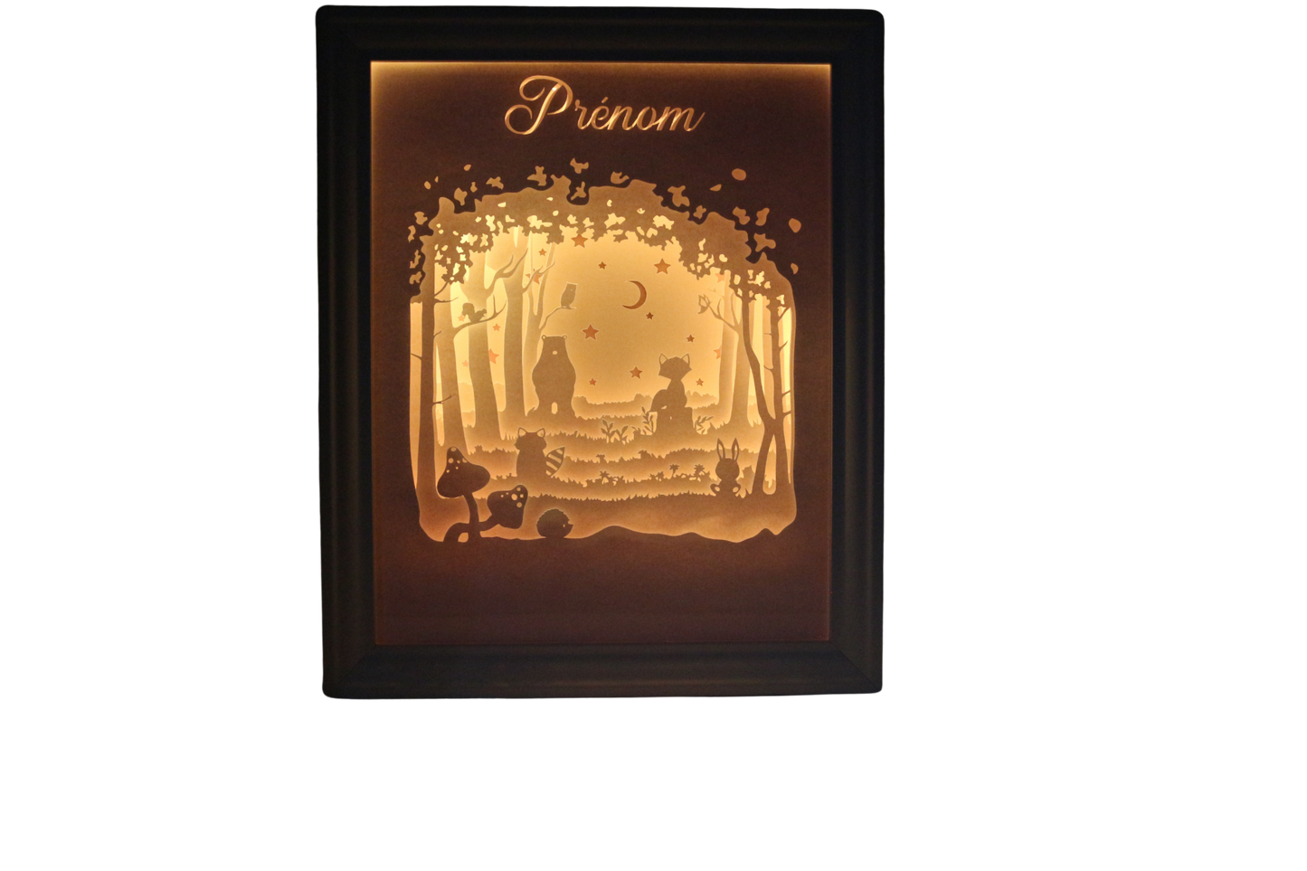 Lightbox Animaux des bois  : un cadeau plein de douceur