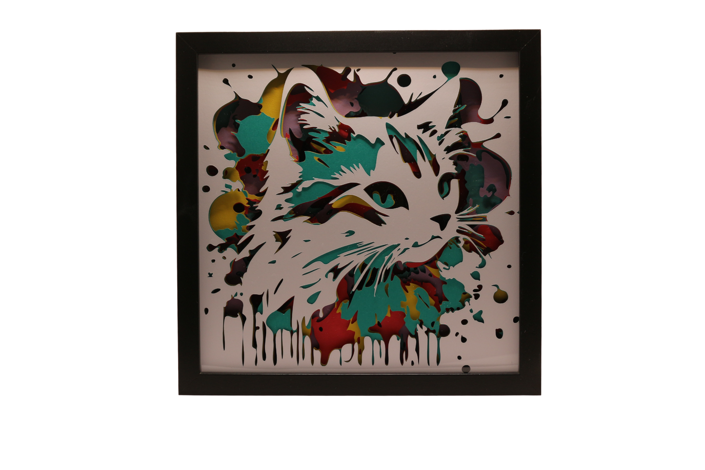 Lightbox Splash le chat : un cadeau pour les amateurs de chats.