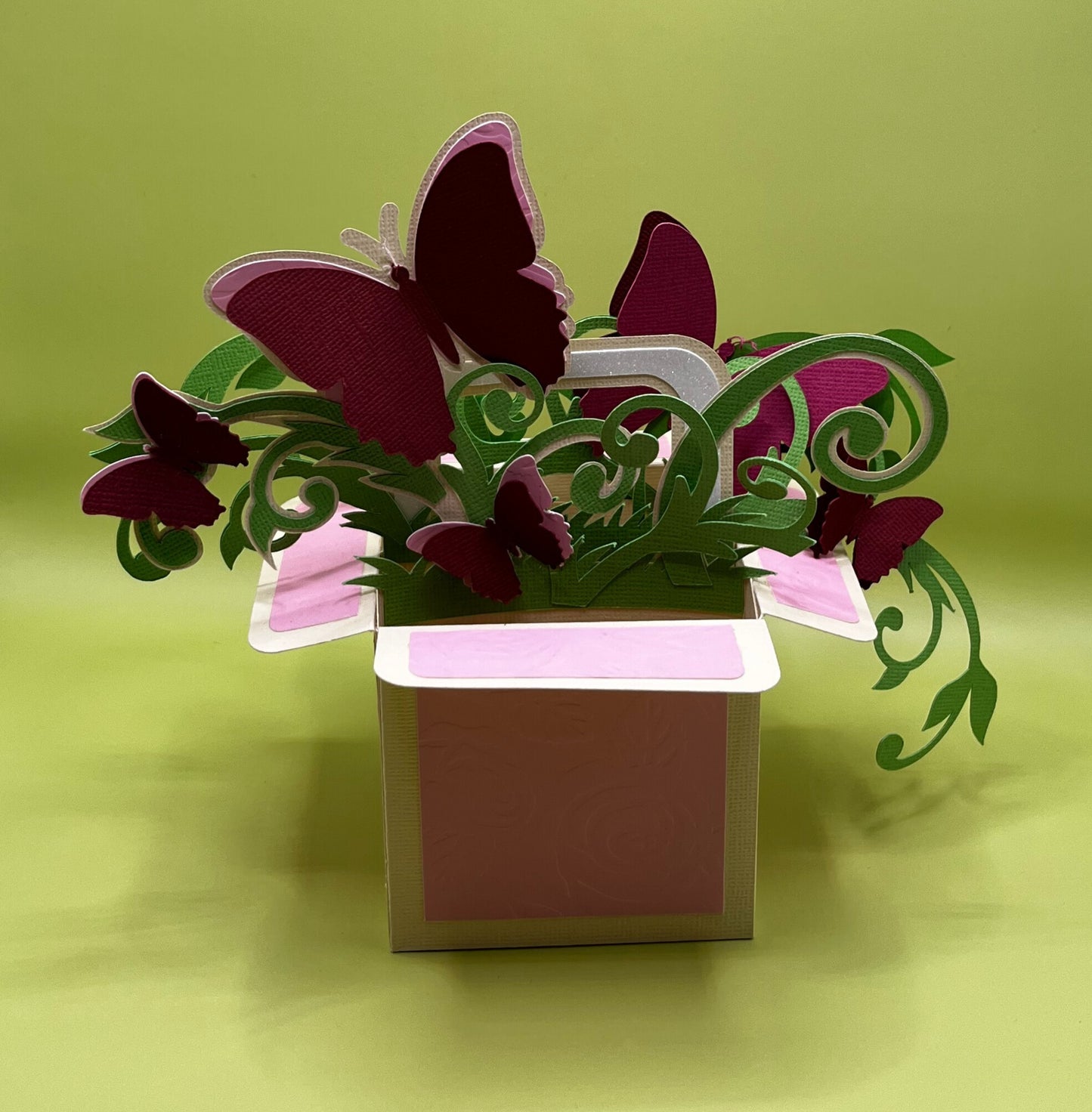 Boîte à Papillons