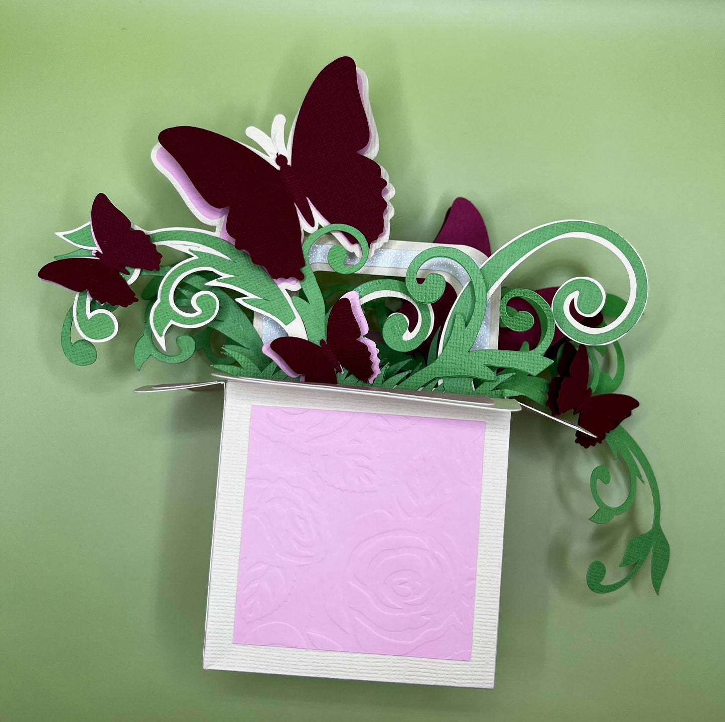 Boîte à Papillons