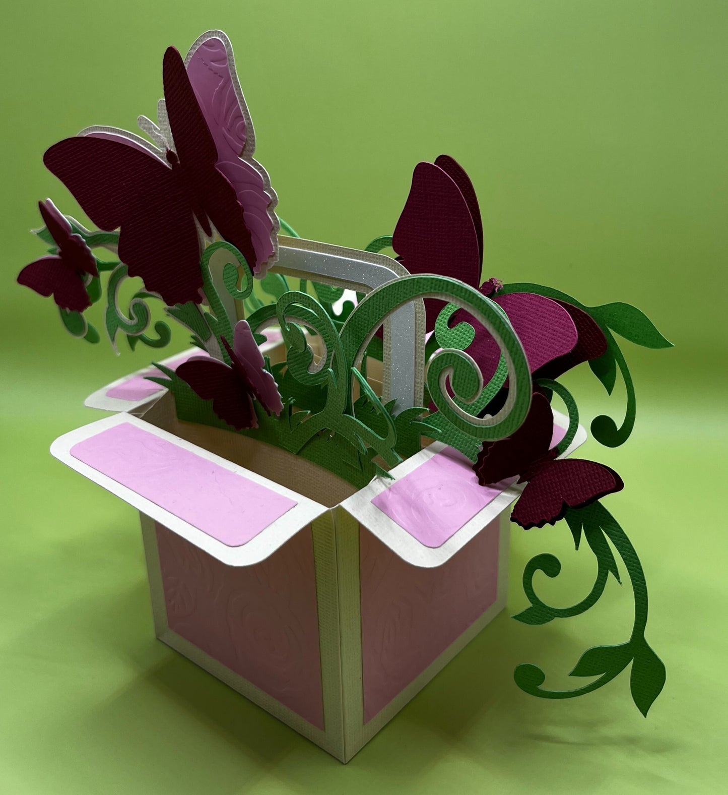 Boîte à Papillons