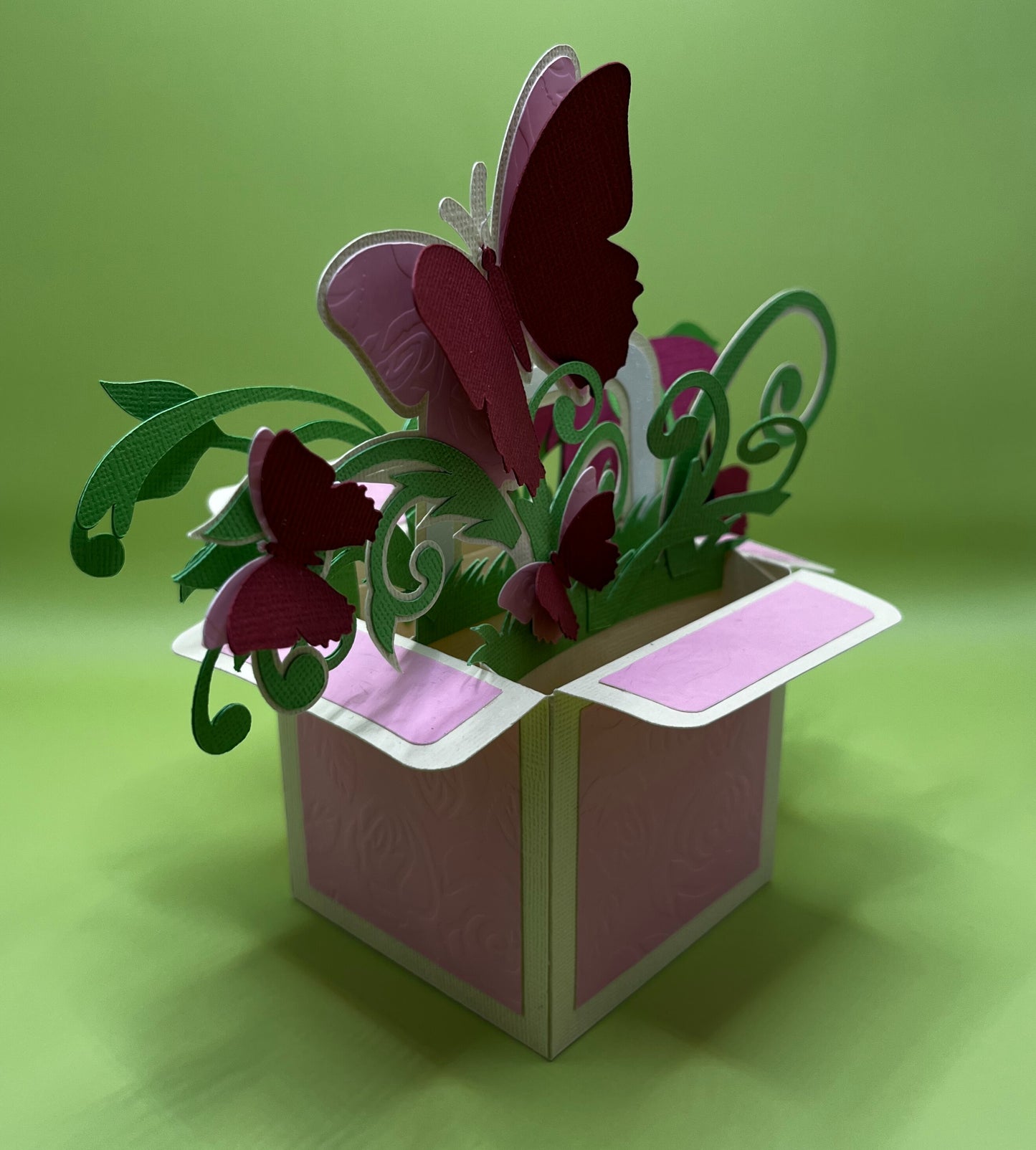 Boîte à Papillons